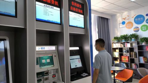 政务服务大厅引入征信报告自助查询服务，提升便民服务水平